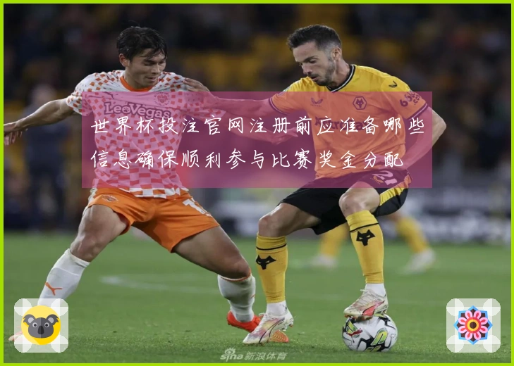 世界杯投注官网注册前应准备哪些信息确保顺利参与比赛奖金分配