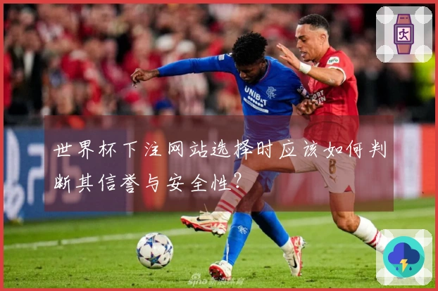 世界杯下注网站选择时应该如何判断其信誉与安全性？